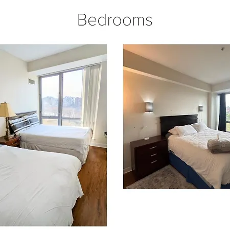 Modern Corporate By Charles River Park Apartment Boston