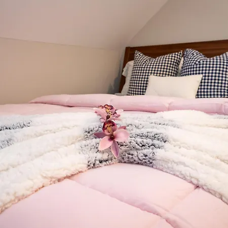 Apartment 40-newly Renovated, Stylish And Beautiful With 4br Boston