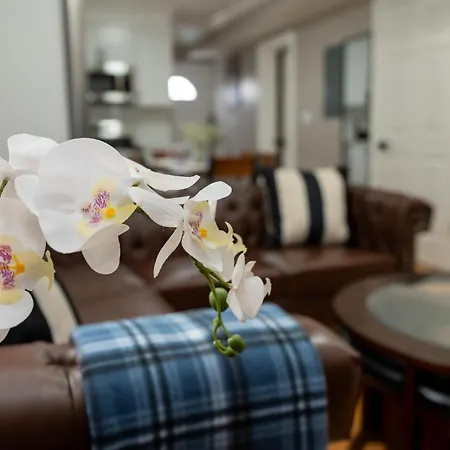 Apartment 558-1 - Spacious & Modern 3br Near Franklin Park *