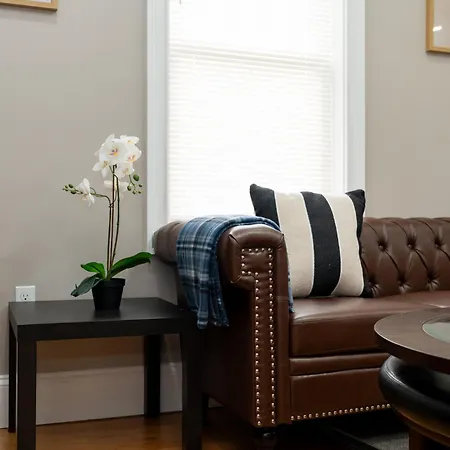 558-1 - Spacious & Modern 3br Near Franklin Park Apartment Boston