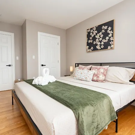 558-1 - Spacious & Modern 3br Near Franklin Park Boston