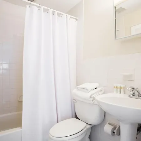 Pet Friendly - Elevator - Laundry In Bldg - Fidi *