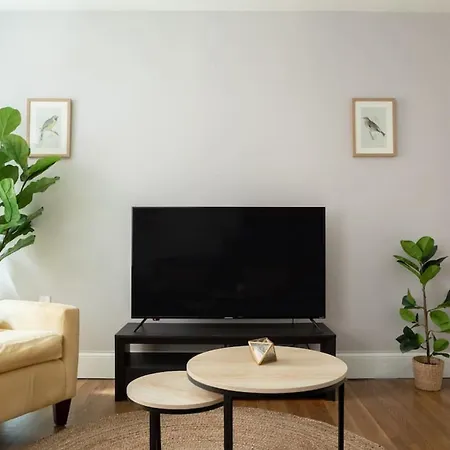 Apartment Cozy 1br Walk Anywhere Boston