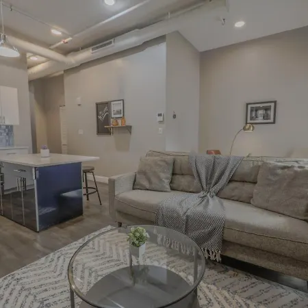 Apartment Luxury Furnished Loft Near Park Street Station