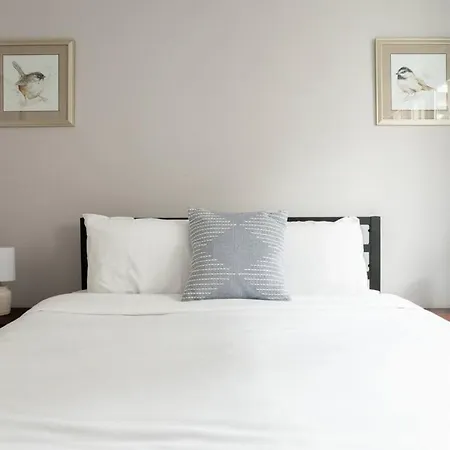 Simple 1br Steps To Common And South End Apartment *