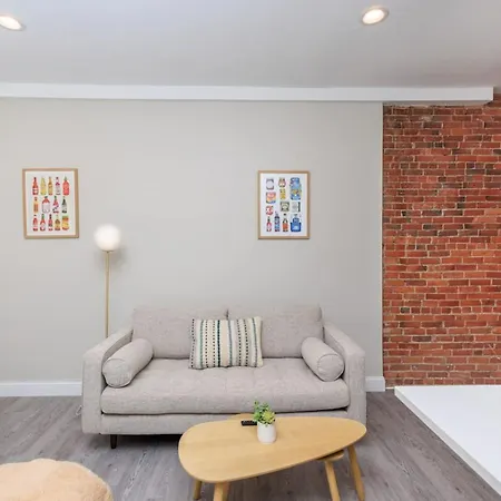 Newly Renovated W Exposed Brick * Boston