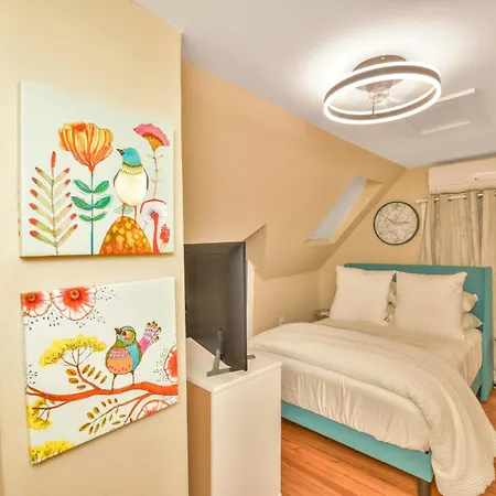 Modern Comfort Boston