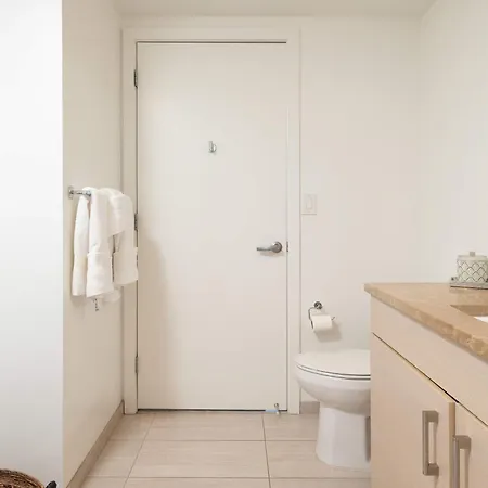 Apartment Upscale Penthouse With Gym Parking Near Mgh Tufts Boston