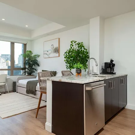 Apartment Upscale Penthouse With Gym Parking Near Mgh Tufts Boston