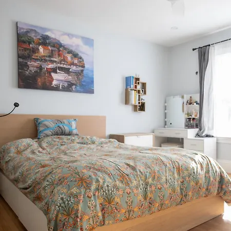 Family-Friendly 4Br W Yard & Modern Kitchen Boston