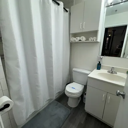 Open-concept 2br Loft In The Heart Of Back Bay Apartment