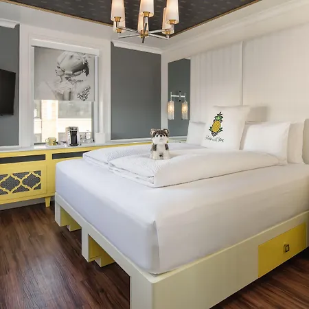 Hotel Staypineapple, A Delightful Hotel, South End Boston