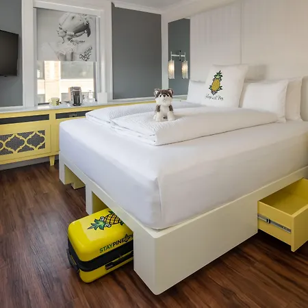 Staypineapple, A Delightful Hotel, South End Hotel 4*