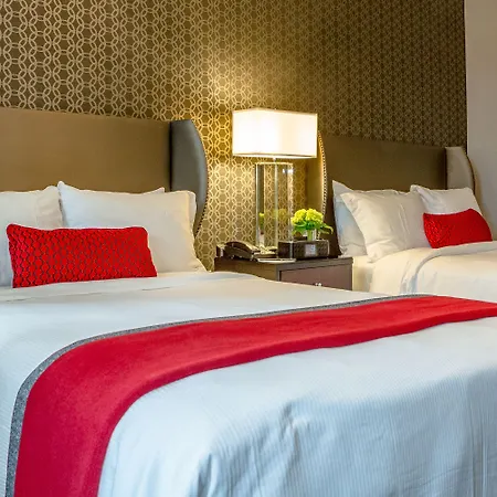 Copley Square Hotel, A Found Hotel
