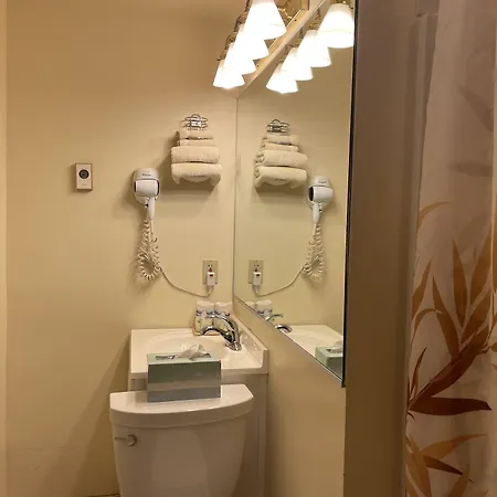 Oasis 2*