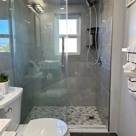 85c Brand New 3brwalk To Transit, Near