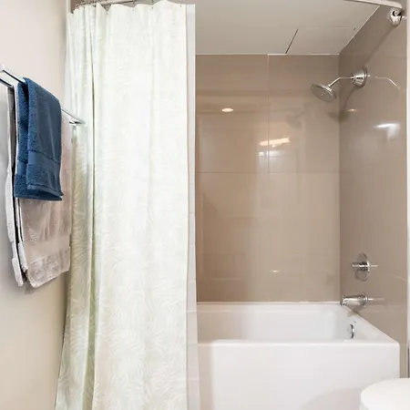 2br Penthouse Common Dt