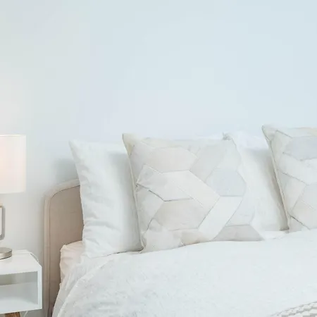 Upscale Penthouse With Gym Parking Near Mgh Tufts *
