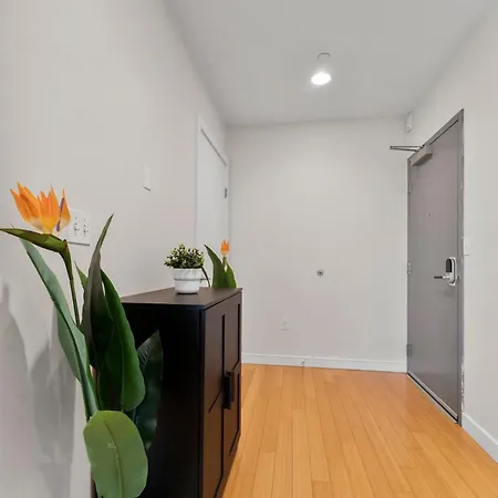 Beautiful 2br In Southend Apartment *