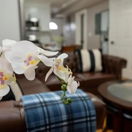 558-2 - Spacious & Modern 3br Near Franklin Park Boston