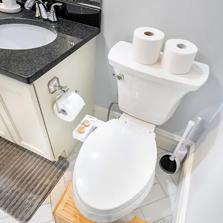 Brownstone Luxury Penthouse Apartment Boston