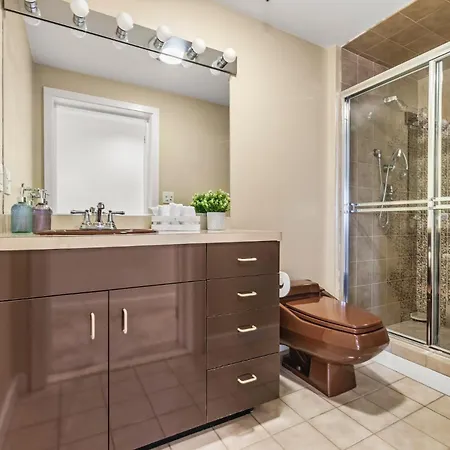 Luxury Massive Penthouse In Watertown Apartment