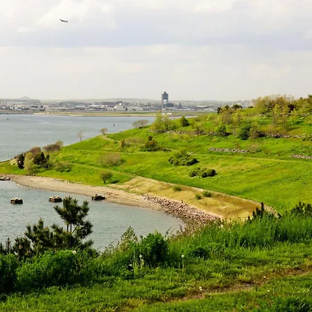 Harbor 5*