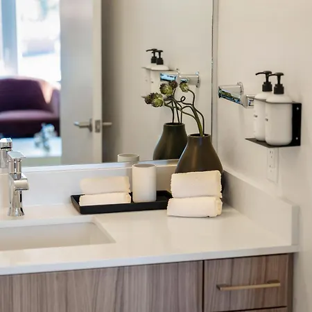 Hyatus Luxury Residences South Bay Designer Collection Aparthotel Boston
