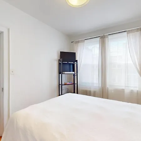 Cozy 1b, Line, Coll, Elev, Roof Deck Apartment *