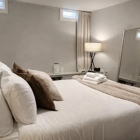 Luxe Duplex Near By Seaport And Convention Centre Bcec