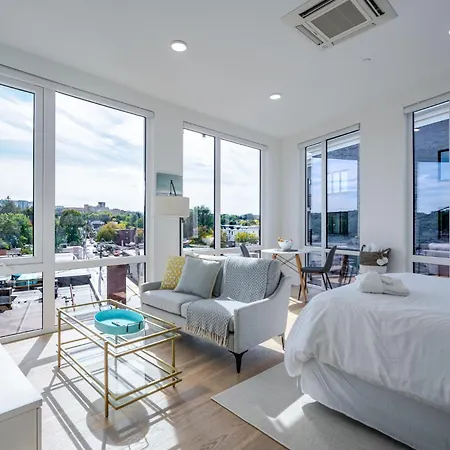 Landing Luxury Studio, Roof Deck, Near Mbta Apartment