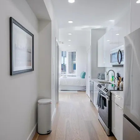 Landing Luxury Studio, Roof Deck, Near Mbta Apartment Boston
