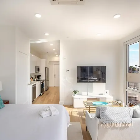 Apartment Landing Luxury Studio, Roof Deck, Near Mbta
