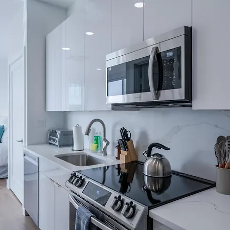 Landing Luxury Studio, Roof Deck, Near Mbta Apartment Boston