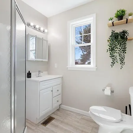 Beautiful 2br In Savin Hill Apartment