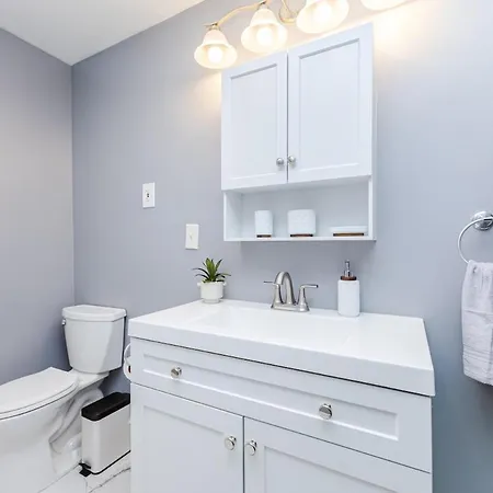 Cozy 3bd, 1ba In - Franklin Park Zoo, Common Apartment Boston