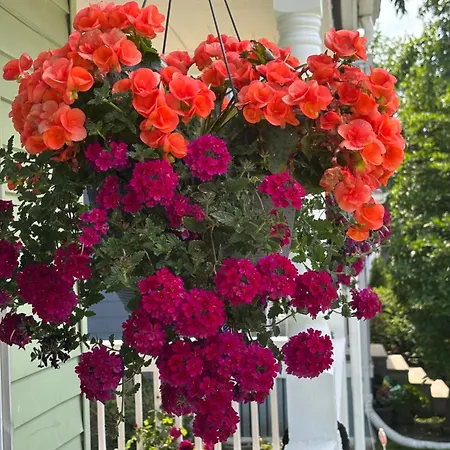 Apartment With Parking, Next To Train Or Buses, Good Neighborhood Boston