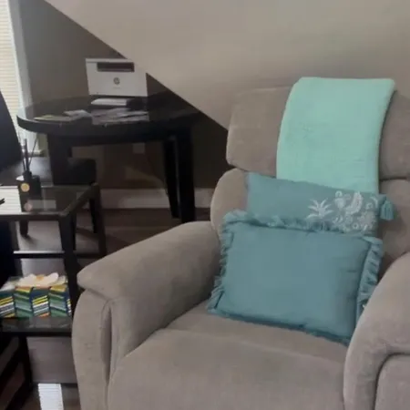 Large Open Concept In Zoo Franklin Park Near Apartment Boston