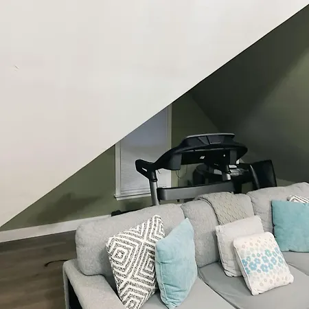 Large Open Concept In Zoo Franklin Park Near Apartment Boston