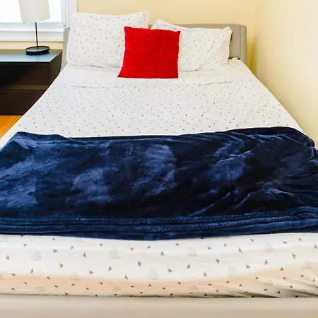 Family-Friendly 4Br Boston Stay Near Franklin Park, Free Parking, Near Mtba 233-3 Apartment