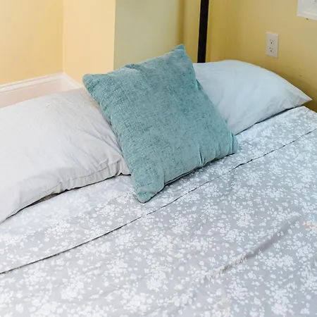 Family-Friendly 4Br Boston Stay Near Franklin Park, Free Parking, Near Mtba 233-3 *