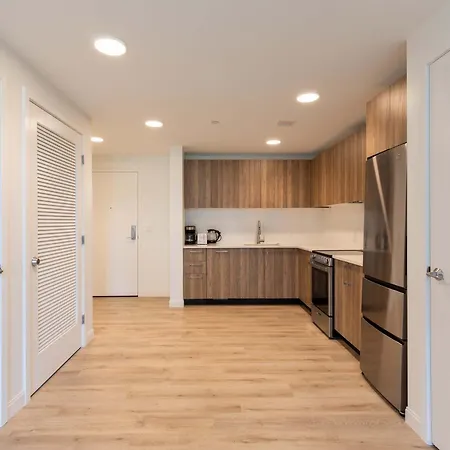 Apartment Gorgeous With Kitchen With Gym Boston
