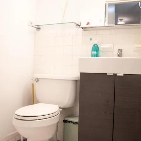 Furnished 1br In Downtown Apartment *