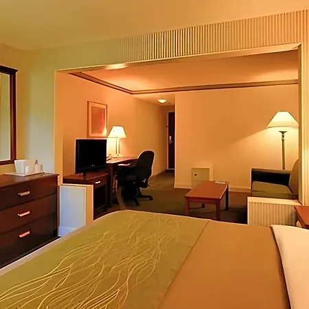 Comfort Boston Hotel Worchester