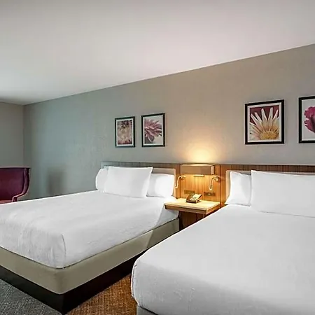 Hilton Garden Logan Airport 3*