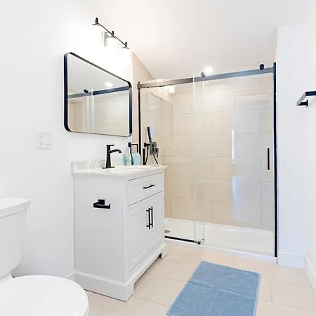 154r Newley Renovated Sunny Spacious Quite In Brighton Boston