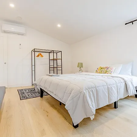 Homestay 154r Newley Renovated Sunny Spacious Quite In Brighton Boston