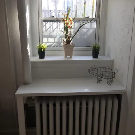 Apartment Garden Next To Beacon Hill And Back Bay *