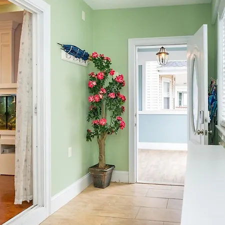 Spacious 5br Single House Near Bostonfree Parking 47 * Boston