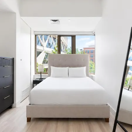 Luxury Near Harvard Business & Gym Apartment *